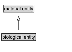 biological entity Diagram